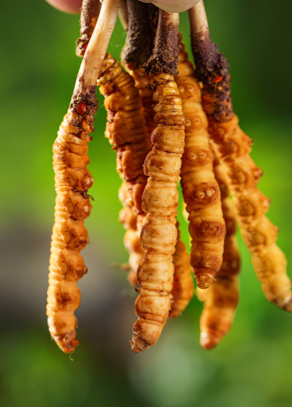 这世上哪有那么多隆重和有意义呢，更多的时候，是细碎的烟火打动着我们。