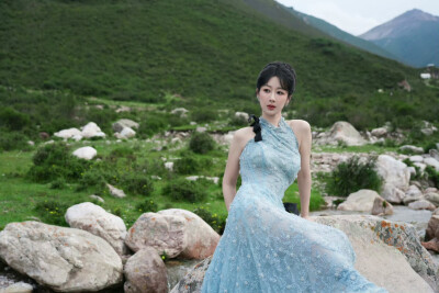 杨紫