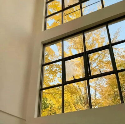 朋友圈背景图 黄色系