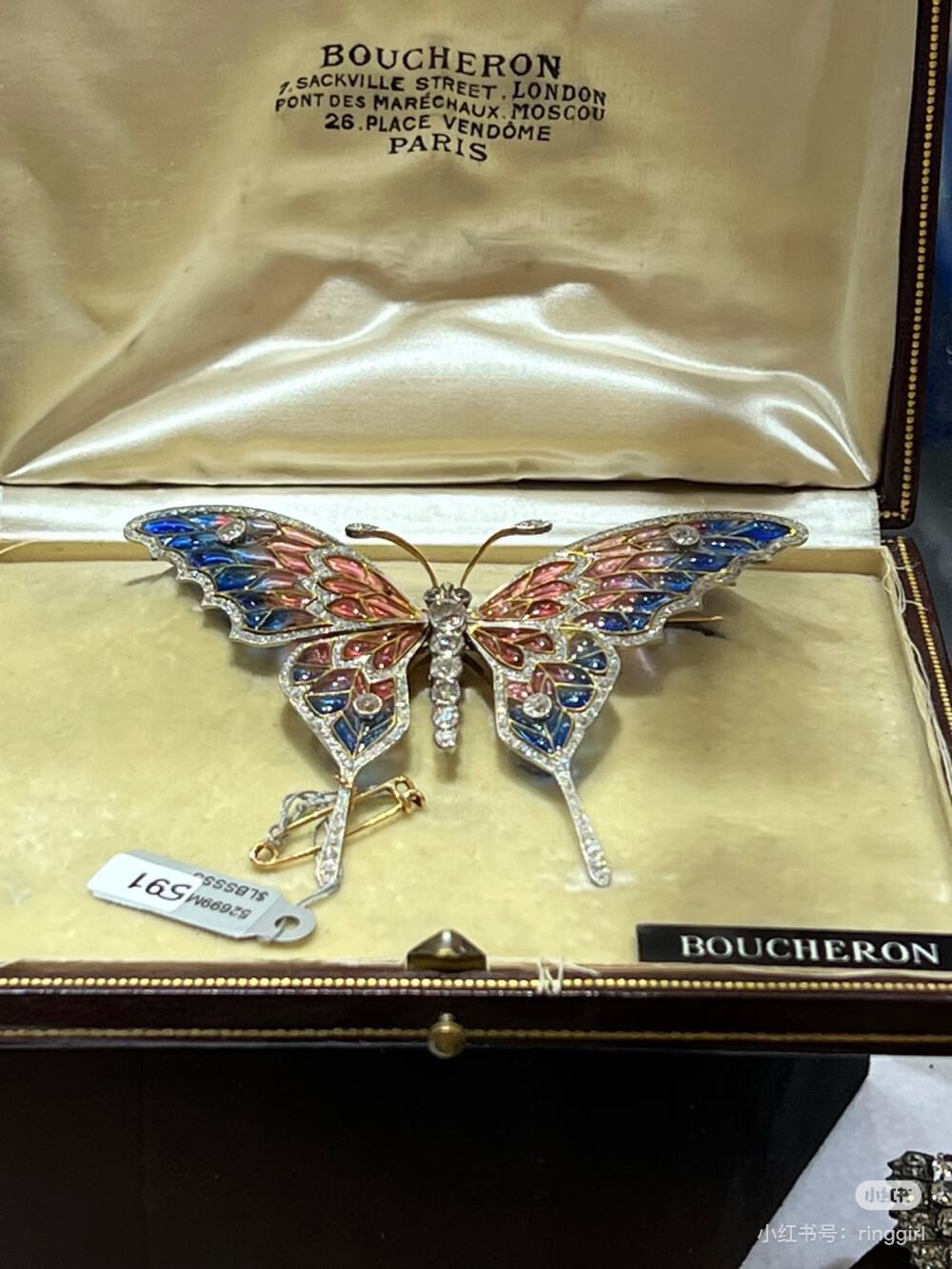 璀璨-小红书转载