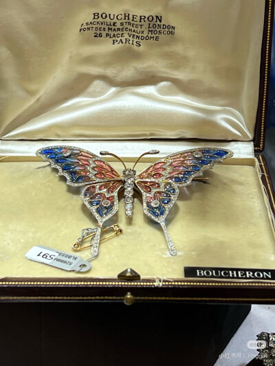 璀璨-小红书转载