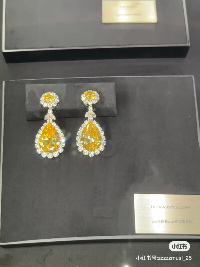 璀璨-小红书转载