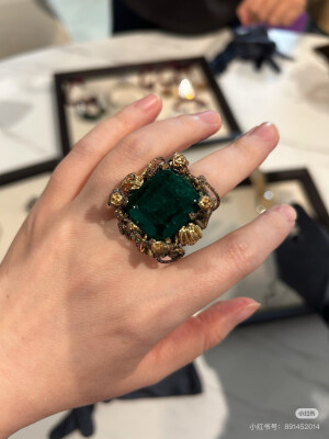 璀璨-小红书转载