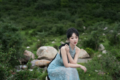 杨紫