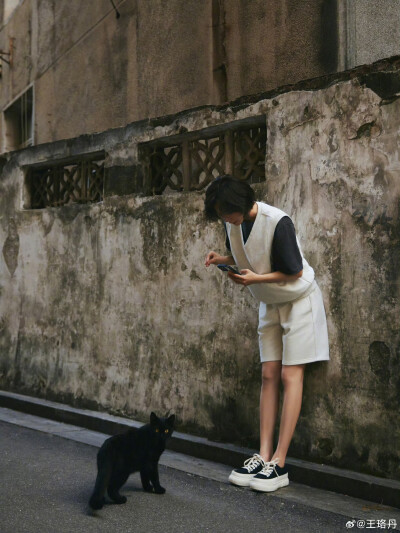 王珞丹