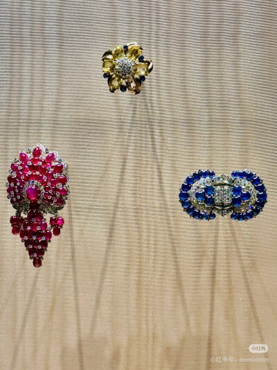 璀璨-小红书转载