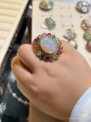 璀璨-小红书转载