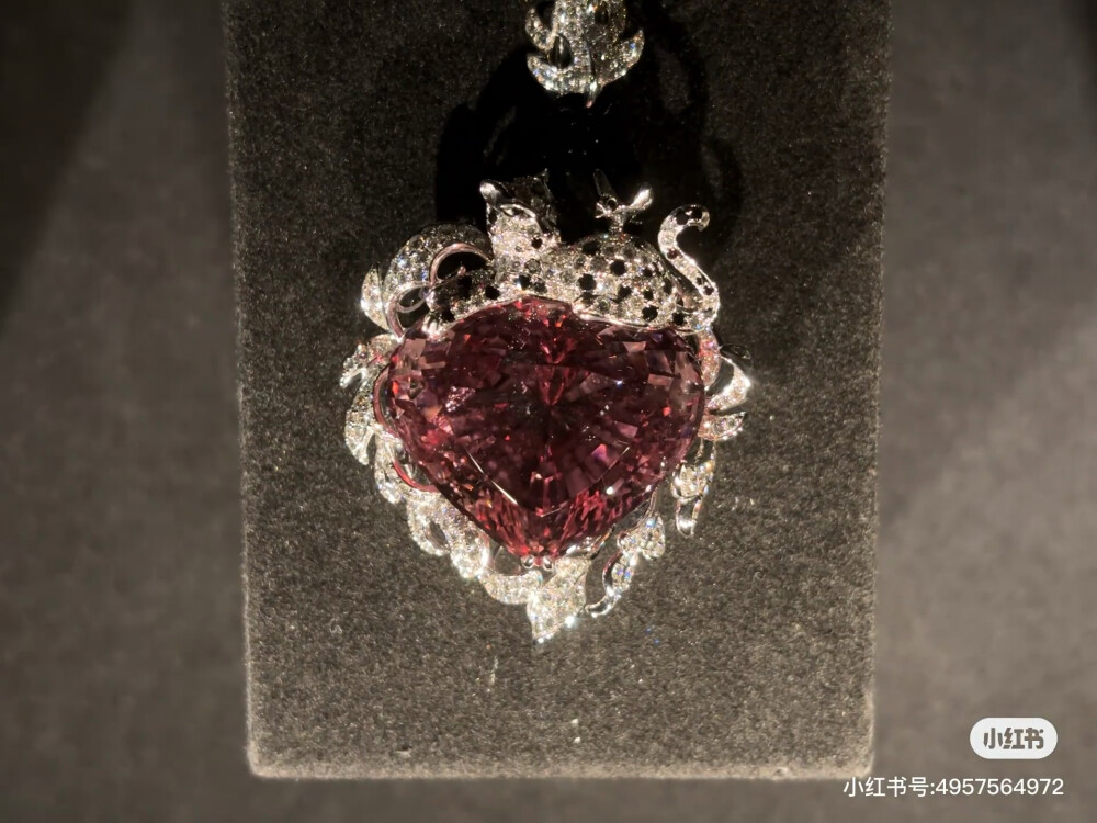 璀璨-小红书转载