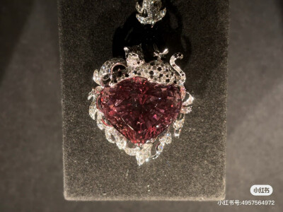 璀璨-小红书转载