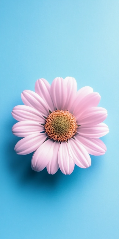 花花