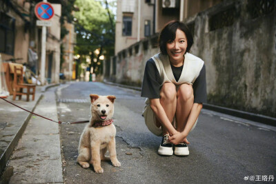 王珞丹