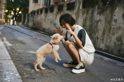 王珞丹
