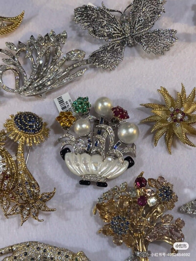 璀璨-小红书转载