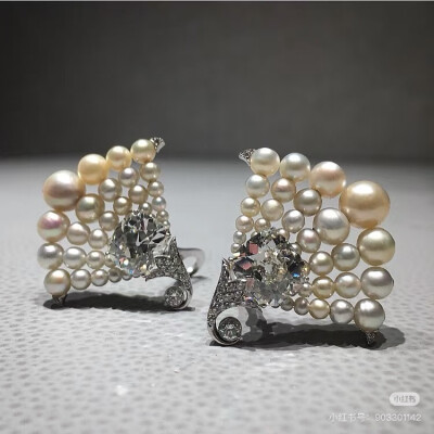 璀璨-小红书转载