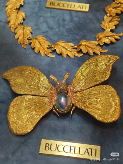 璀璨-小红书转载