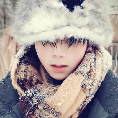 慢慢地听雪落下的声音