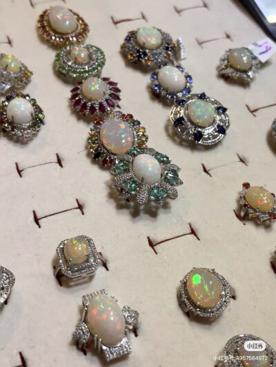 璀璨-小红书转载