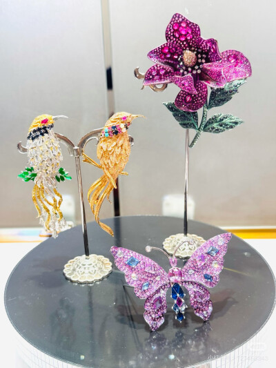 璀璨-小红书转载