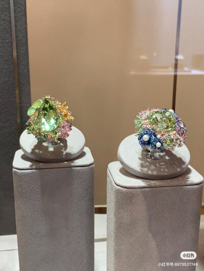 璀璨-小红书转载