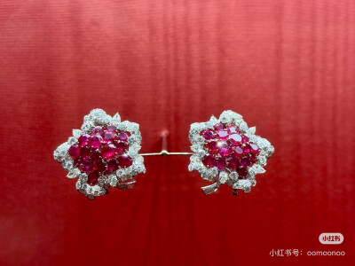 璀璨-小红书转载