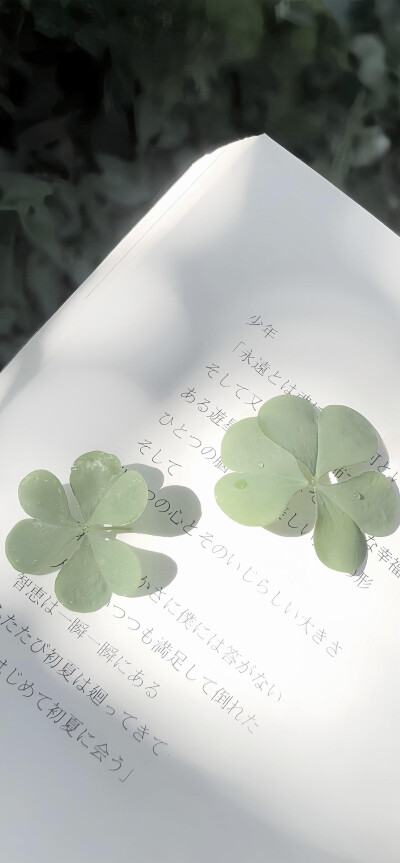 低饱和绿色清透壁纸