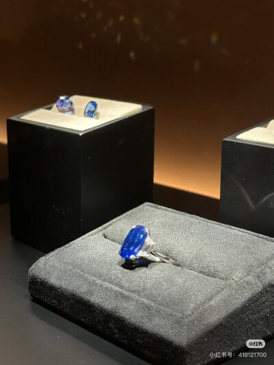 璀璨-小红书转载