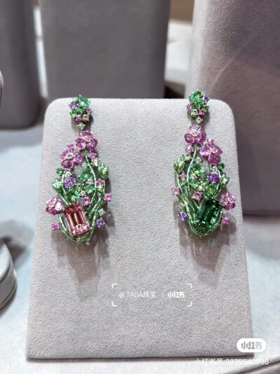 璀璨-小红书转载