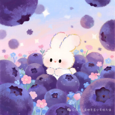 水果兔兔❤