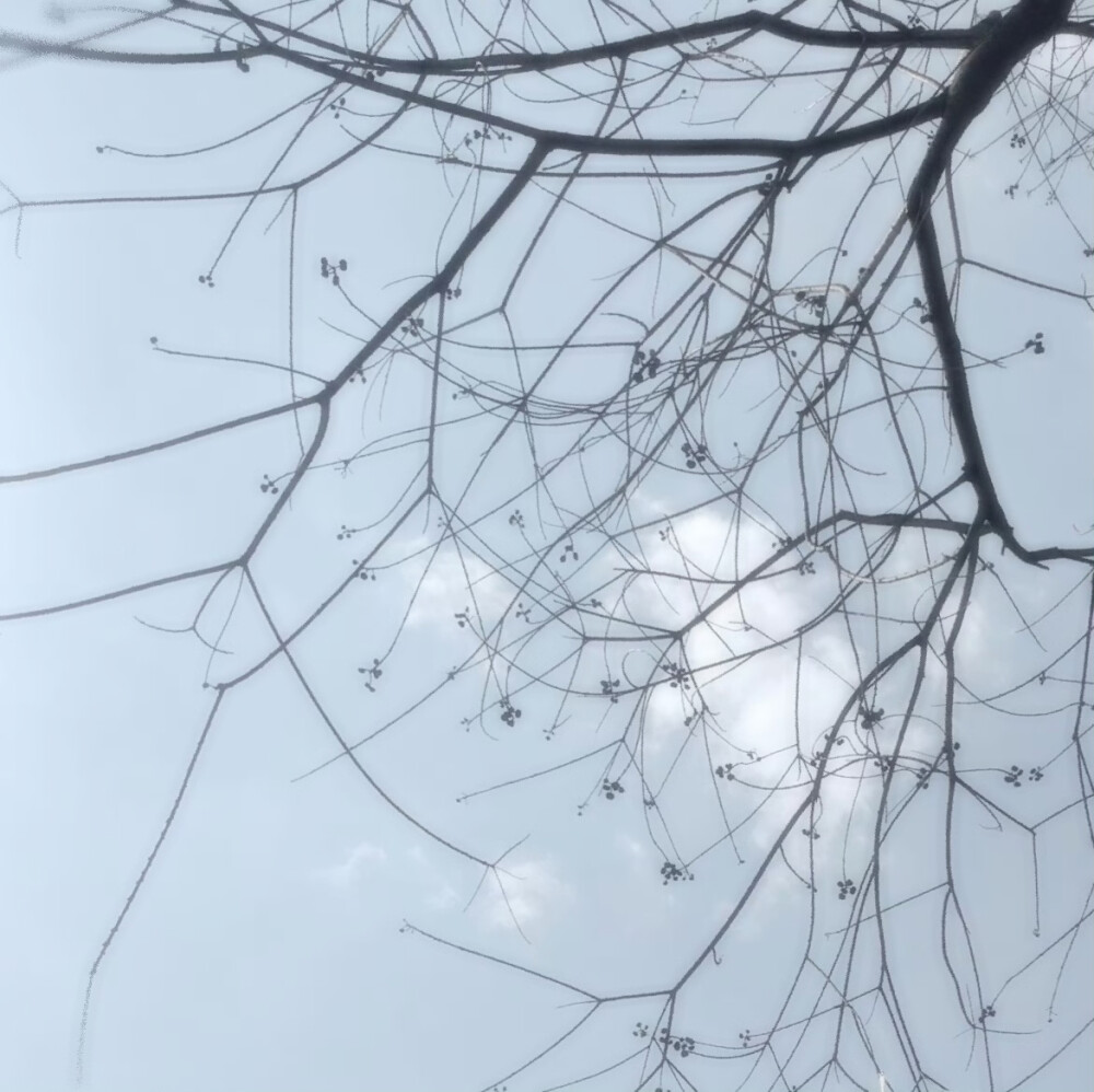 雨伞柄挂着未融化的雪、我们中间隔着叹息的雾