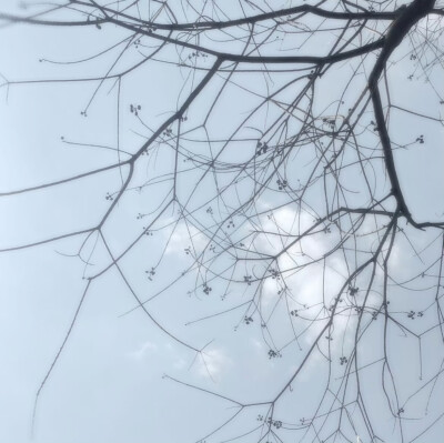 雨伞柄挂着未融化的雪、我们中间隔着叹息的雾