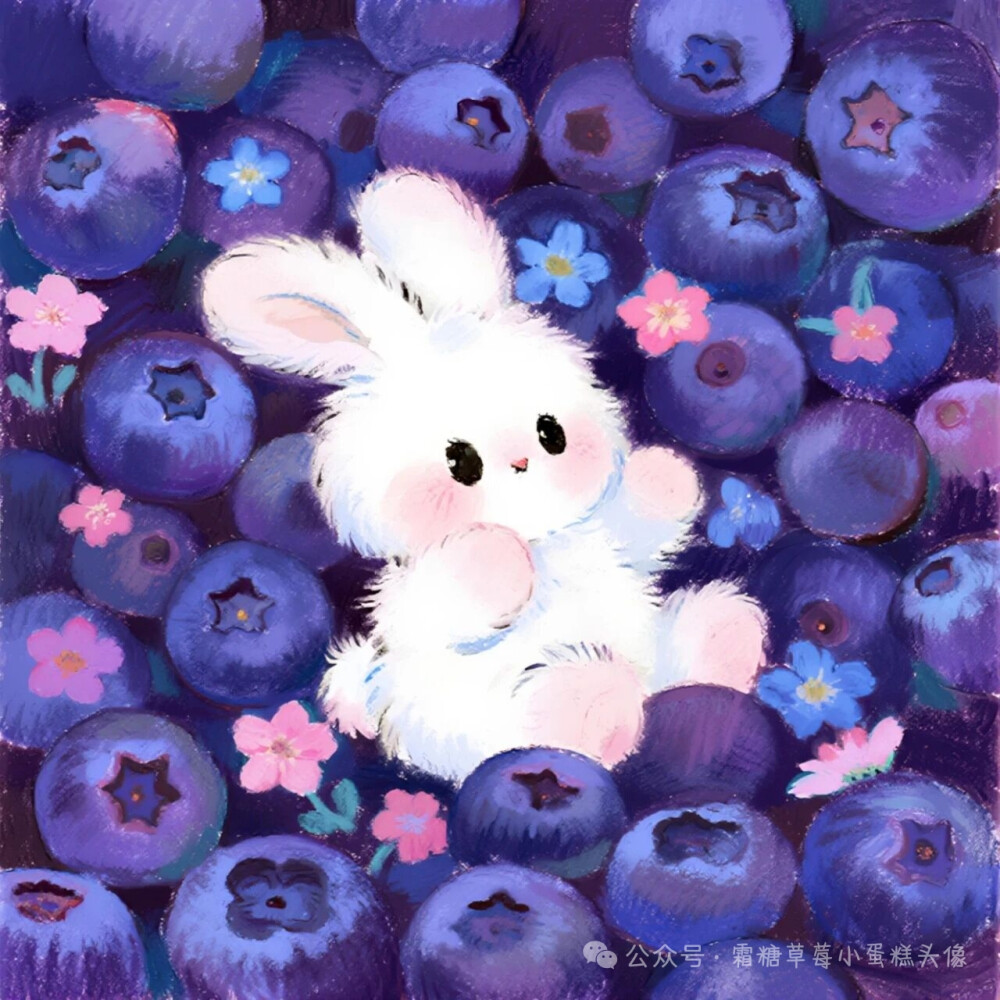 水果兔兔❤