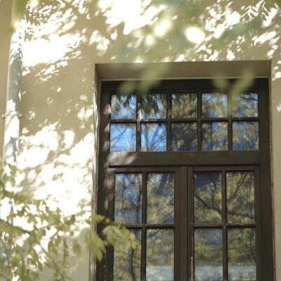 谁说可可西里没有海