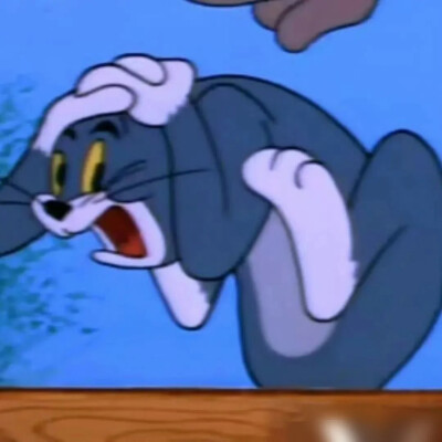 猫和老鼠 汤姆 搞怪头像