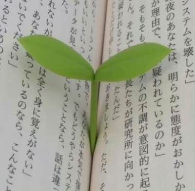 （＾ω＾）