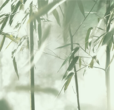 天青色等烟雨｀