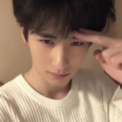 小狗