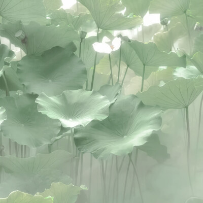 天青色等烟雨｀