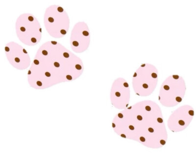 *･゜ﾟ･*:.｡..｡.:*･'(*ﾟ▽ﾟ*)'･*:.｡. .｡.:*･゜ﾟ･*