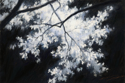 我的一生需要学两次说话 第二次是抛开拧巴的自己说出心里话