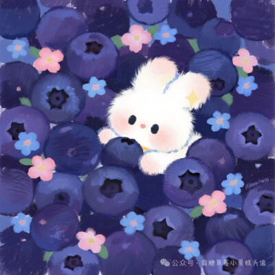 水果兔兔❤