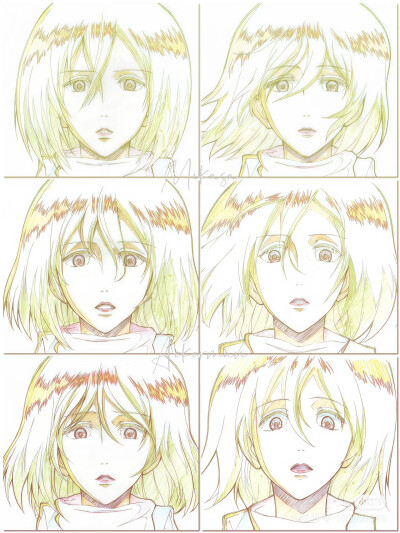 三笠宝宝