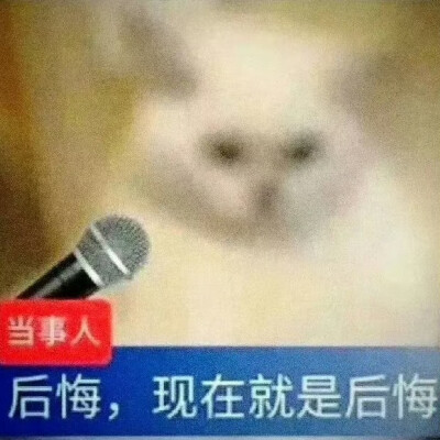 表情包·图源微博