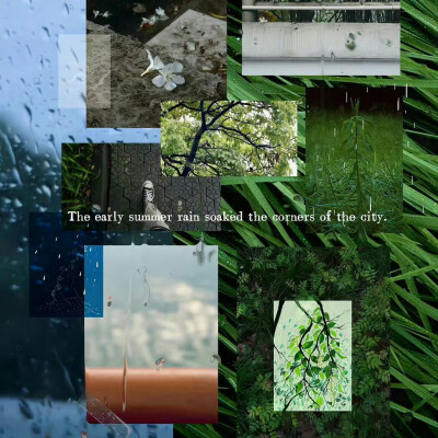 背景·图源微博