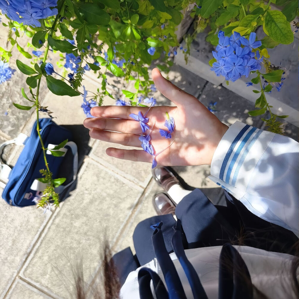 背景·图源微博