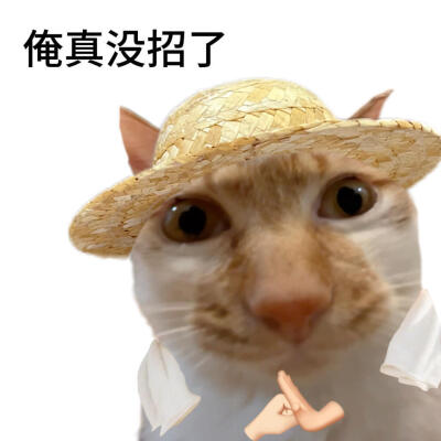 表情包·图源微博