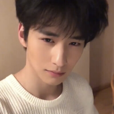 小狗