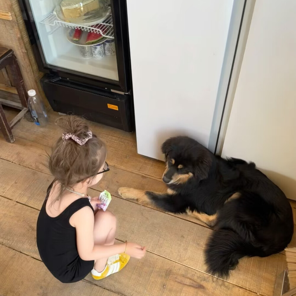 幸好这个世界上有明亮的春天 勇气 自由 浪漫主义 咖啡面包 还有小动物和好天气 美得让人晕晕软软的 祝大家永远可以好人相逢