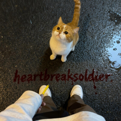 背景·图源微博