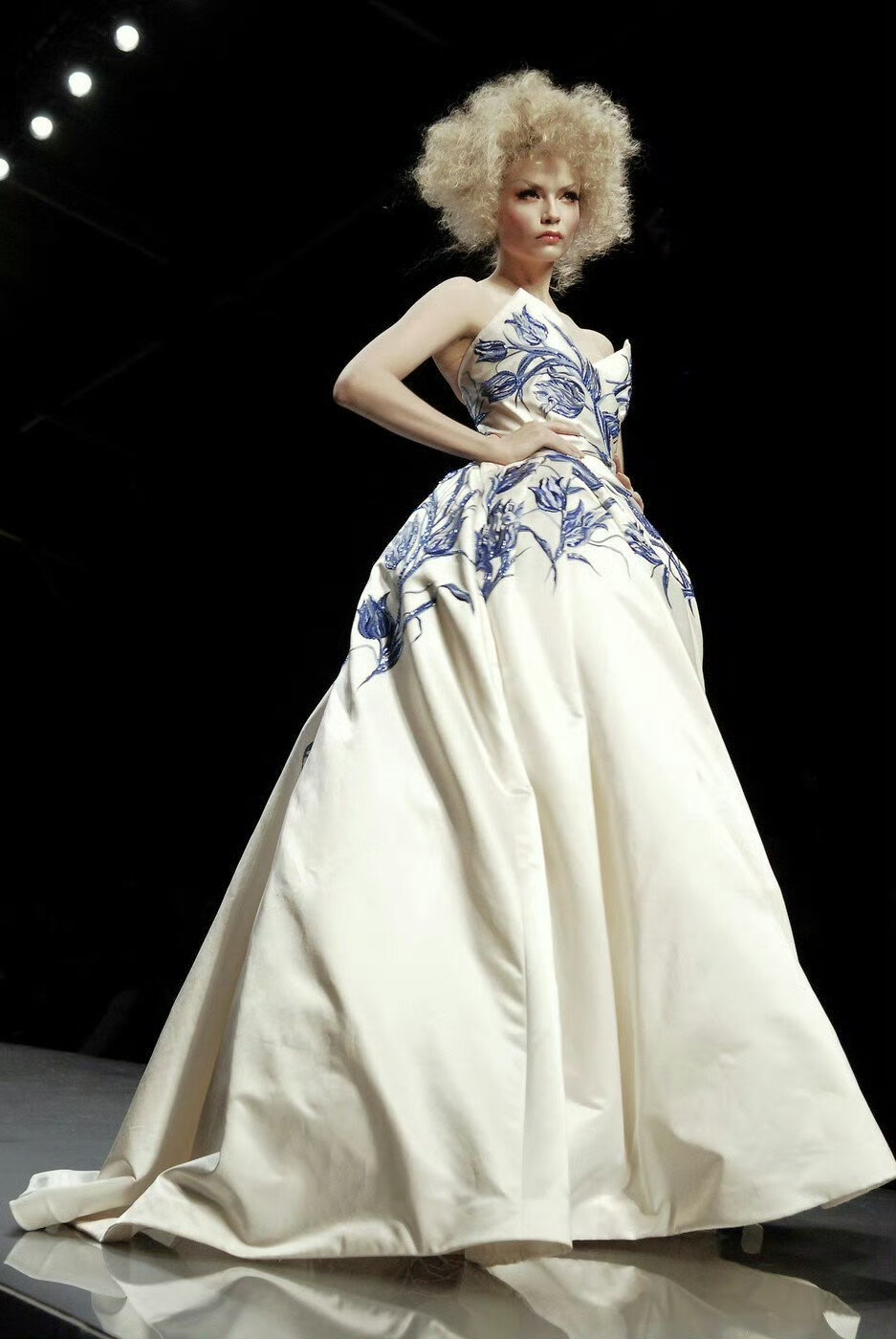 Dior 2009 春夏高定 ​