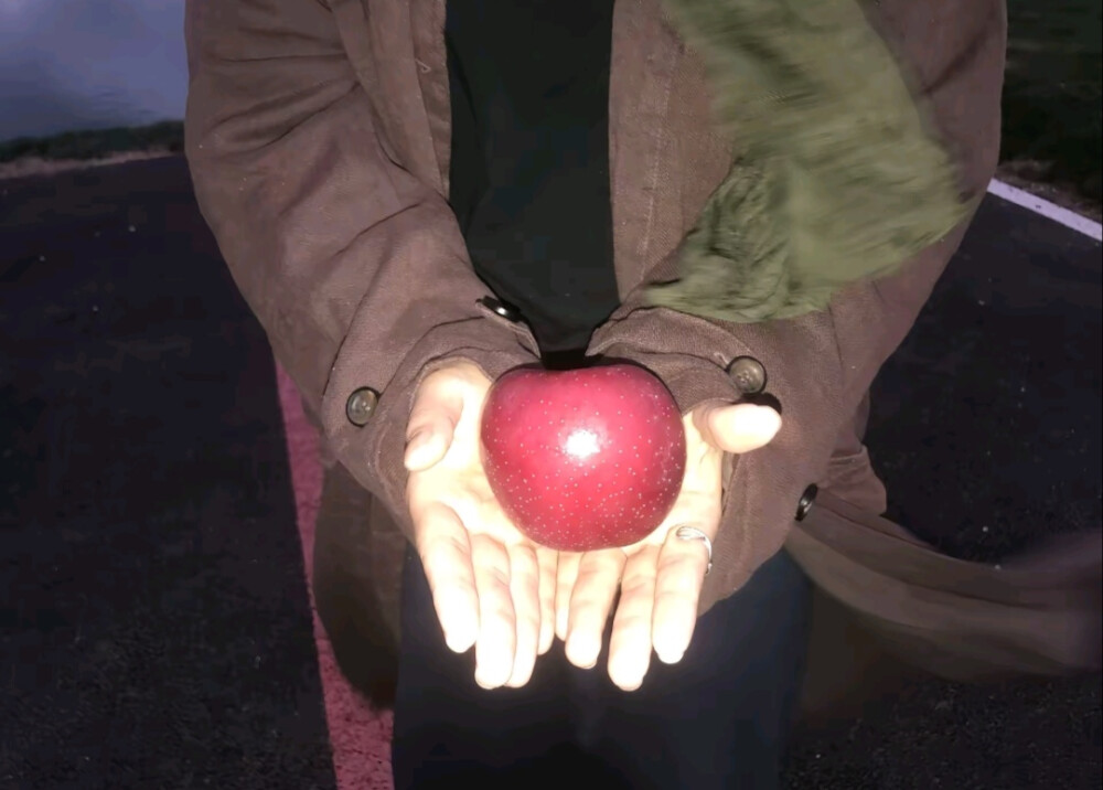 你说的太复杂 我只是想要一个拥抱